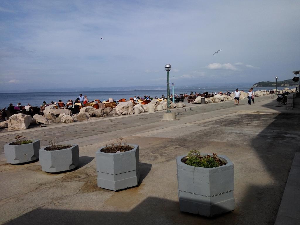 Apartma Punta