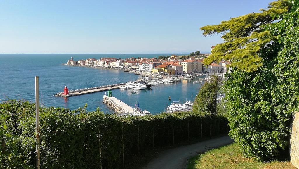 Apartma Punta *