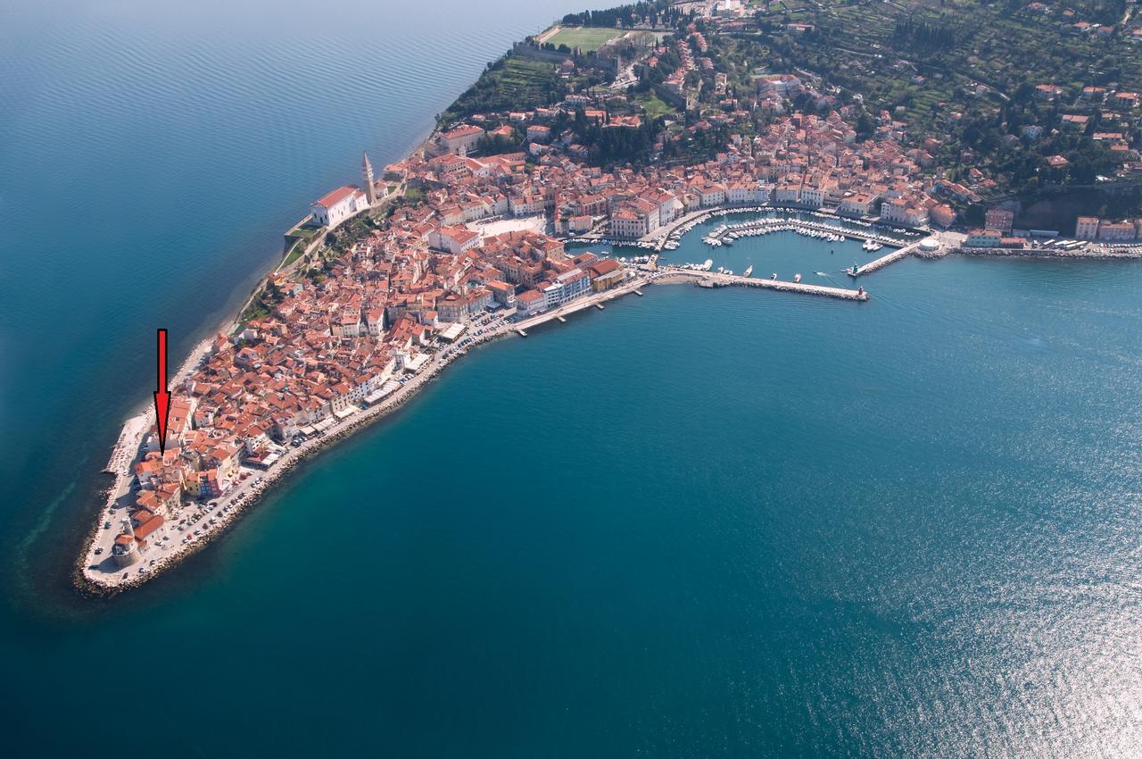 Apartma Punta *